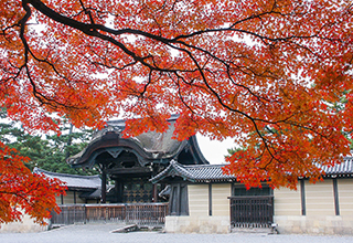 京都御苑の画像